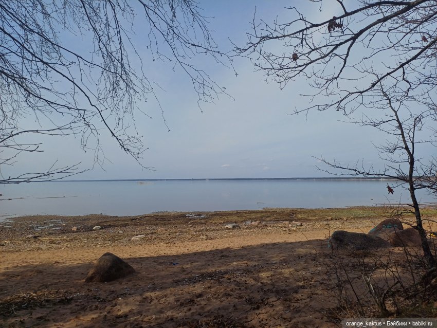 Женя в Сестрорецке Или в выходной да по пробкам (фото 9)