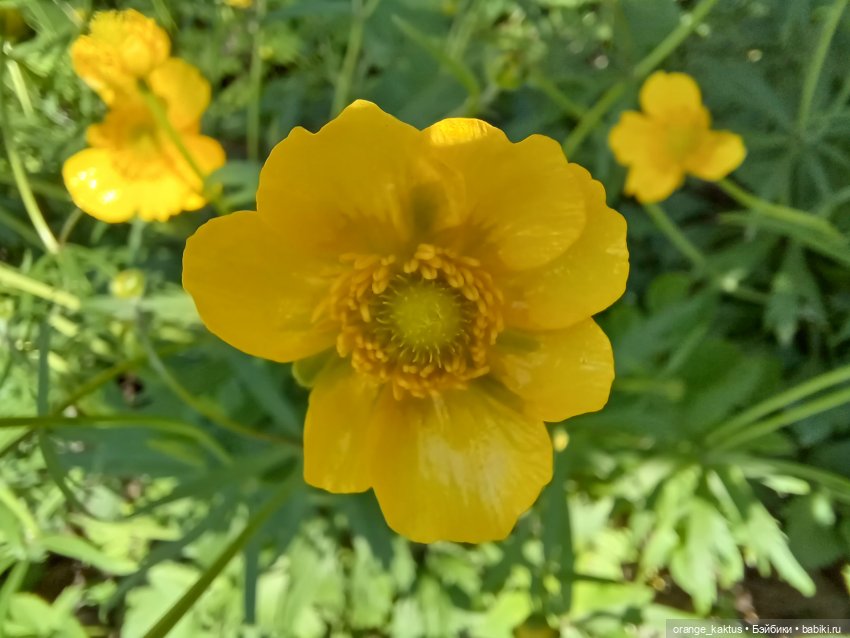 Таня, очень скромная куколка (фото 7)