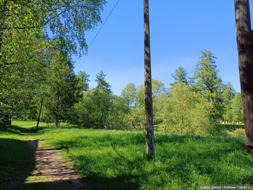 Первая прогулка Лины-Софии (фото 7)