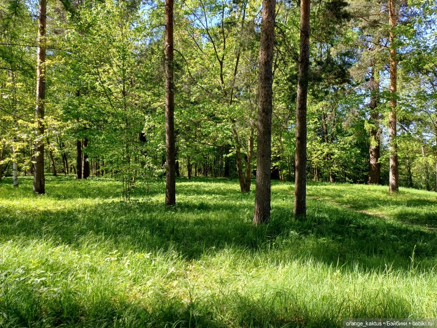 Первая прогулка Лины-Софии