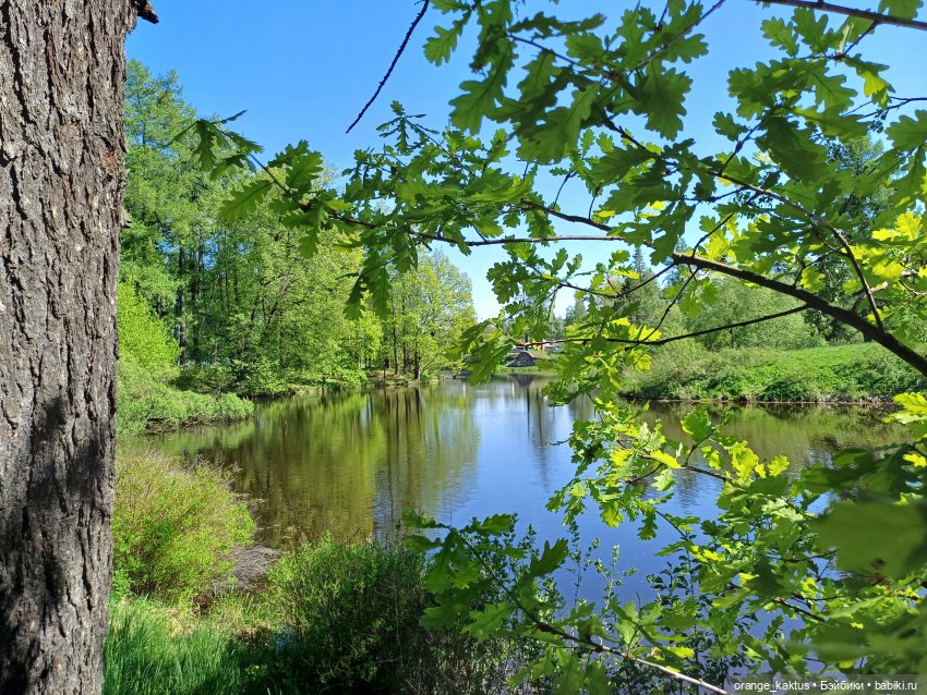 Почти лето — Гибриды шарнирных кукол (не БЖД): подбор тела