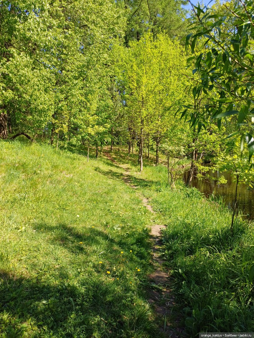 Первая прогулка Лины-Софии