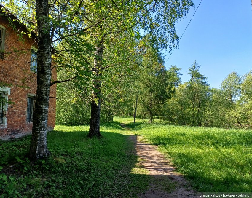 Почти лето — Гибриды шарнирных кукол (не БЖД): подбор тела (фото 7)