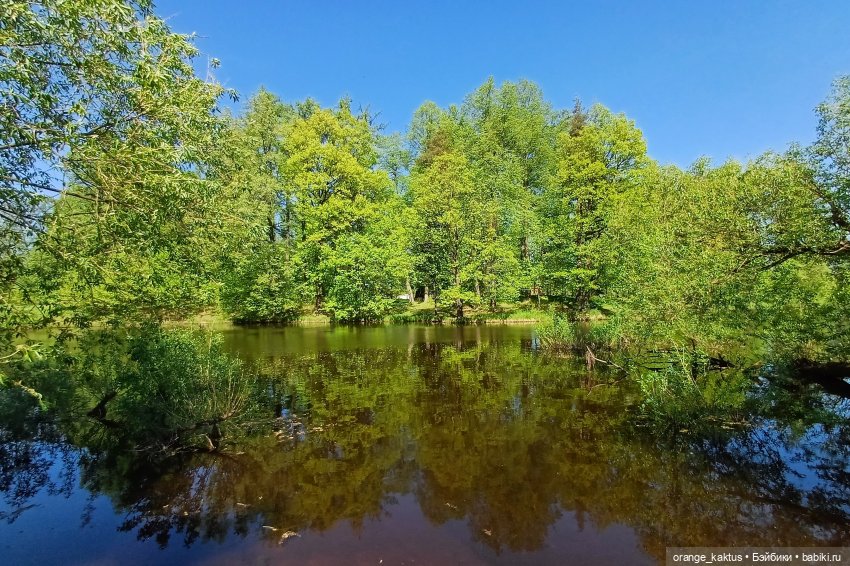 Почти лето — Гибриды шарнирных кукол (не БЖД): подбор тела (фото 5)