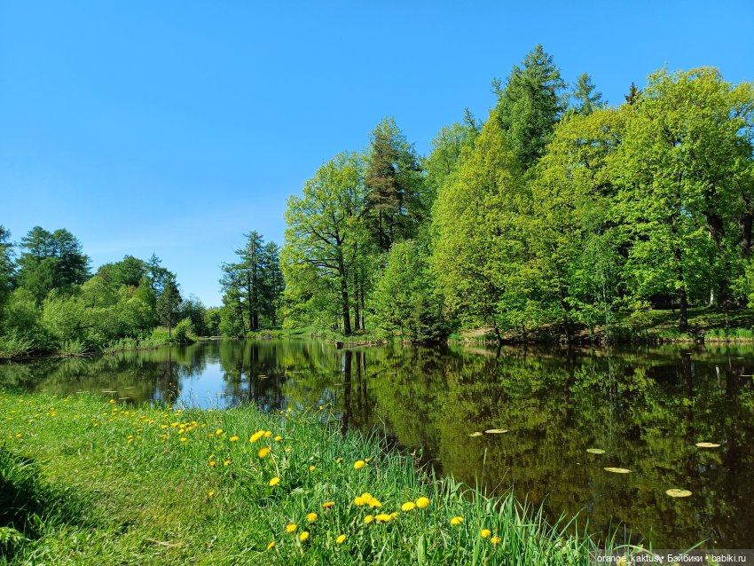 Первая прогулка Лины-Софии (фото 4)