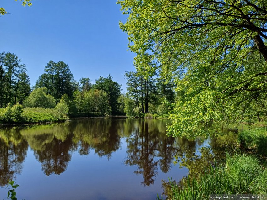 Почти лето — Гибриды шарнирных кукол (не БЖД): подбор тела