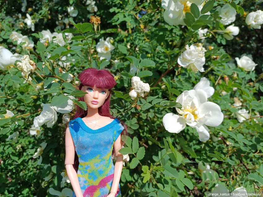 Дефа Люси на прогулке — Аналоги Барби и куклы 1/6: клоны 90