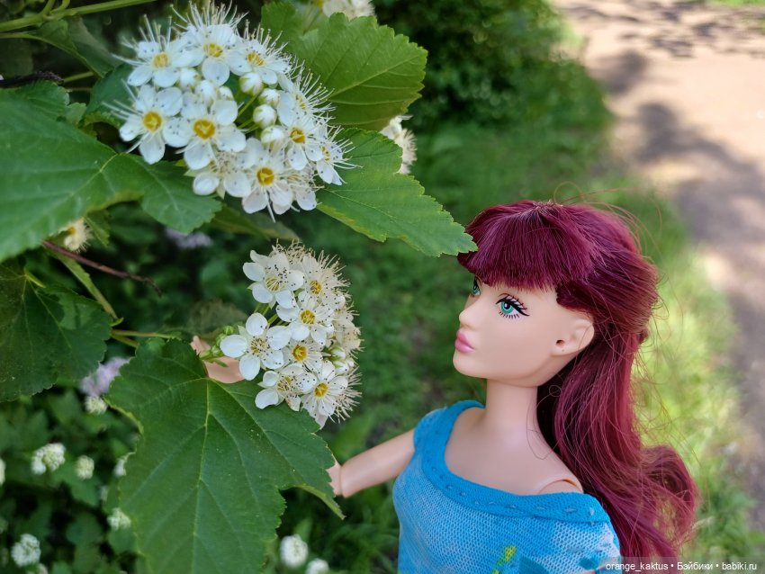 Дефа Люси на прогулке — Аналоги Барби и куклы 1/6: клоны 90