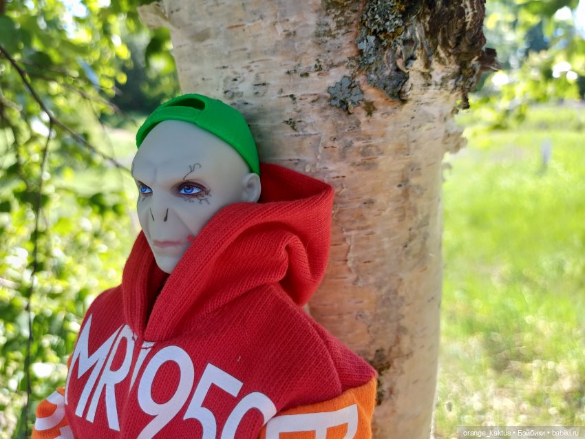 Вовочка среди цветов — Куклы Harry Potter (Гарри Поттер) Mattel: Wizarding World