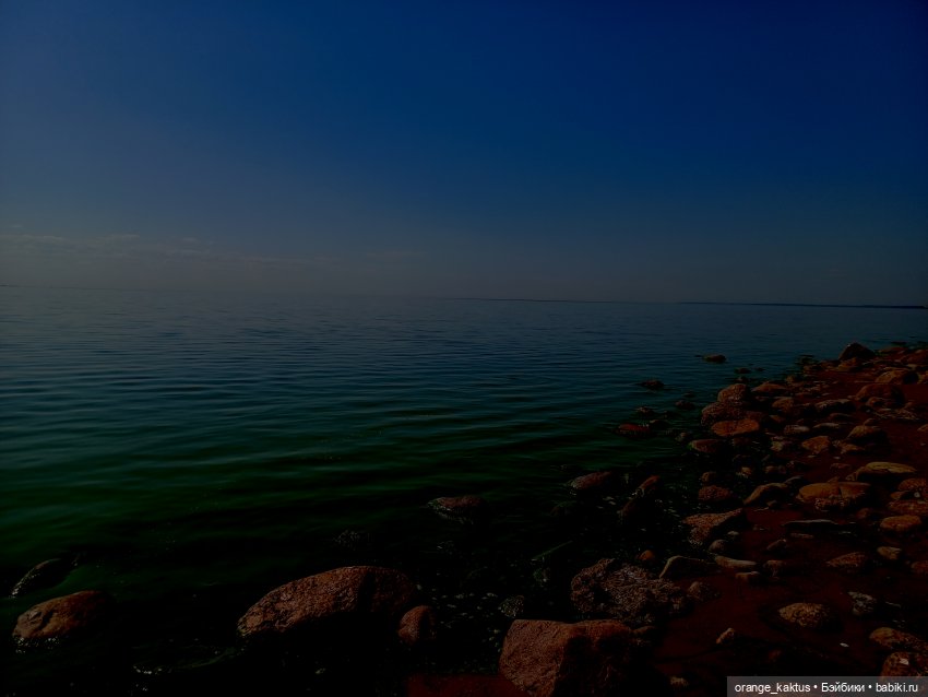 Последняя любовь Самурая. Ч 35 В лесу