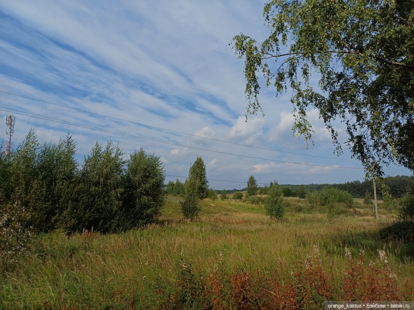 Джонни, а по-нашему Иван — Гибриды шарнирных кукол (не БЖД): подбор тела