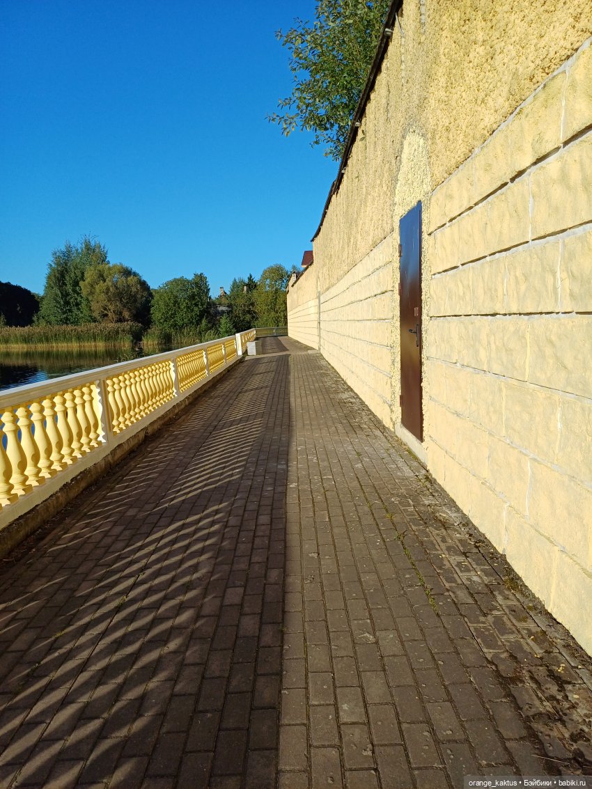 Клон маки Или приятный вечер пятницы (фото 2)