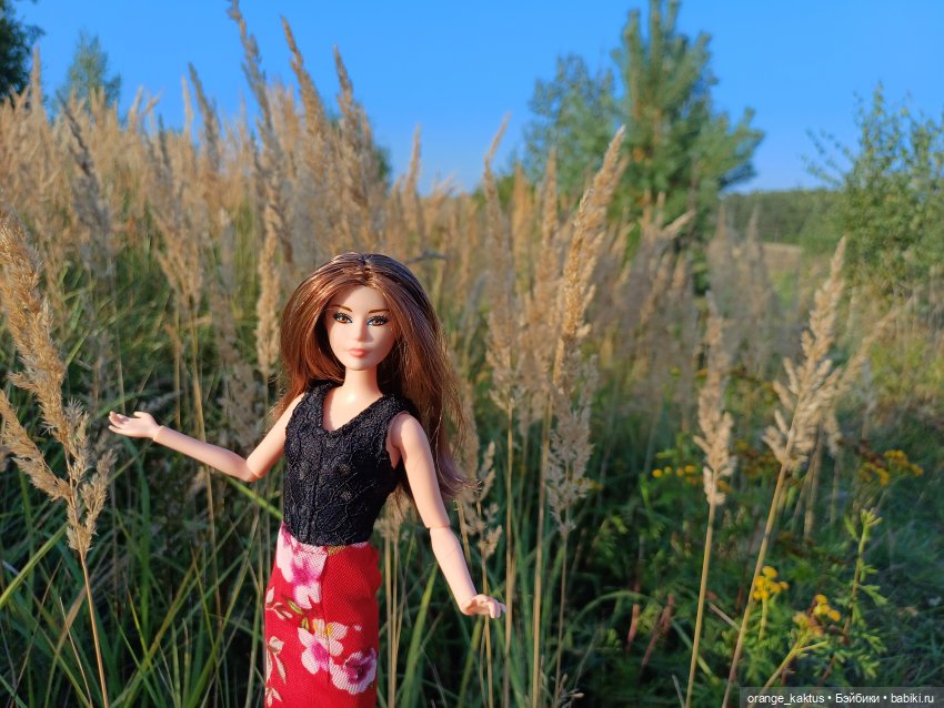 Новая жизнь Псевдокарлуши (фото 5)