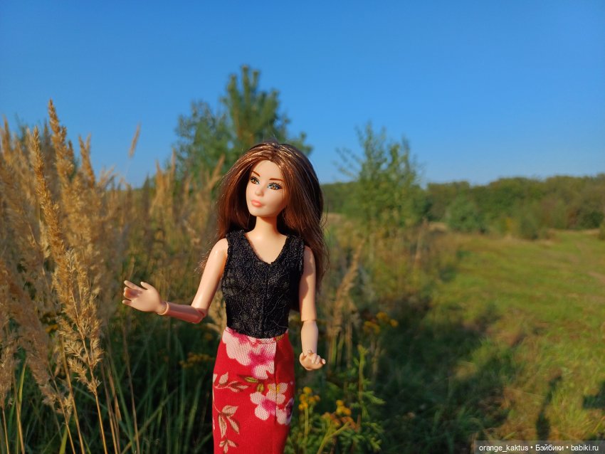 Новая жизнь Псевдокарлуши (фото 4)