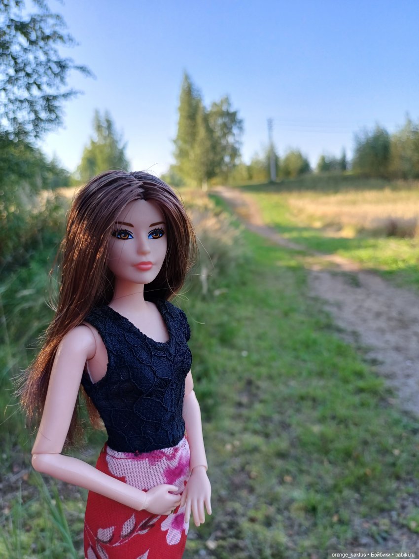 Новая жизнь Псевдокарлуши