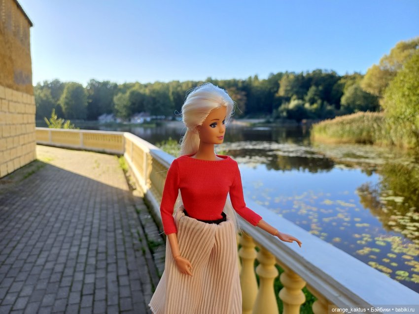 Клон маки Или приятный вечер пятницы (фото 3)