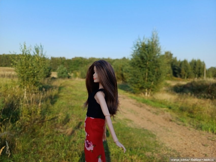 Новая жизнь Псевдокарлуши (фото 7)