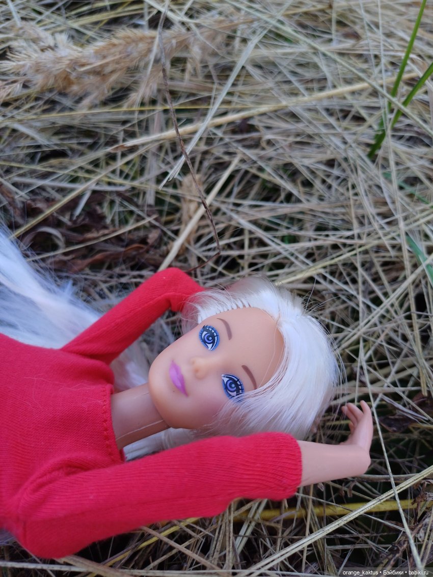 Клон маки Или приятный вечер пятницы