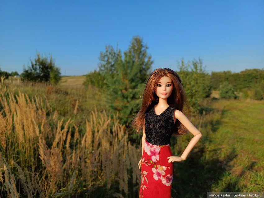 Новая жизнь Псевдокарлуши (фото 6)