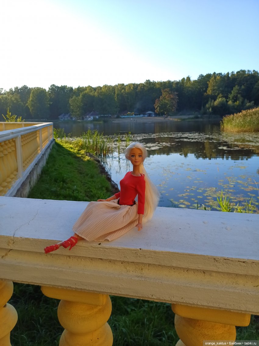 Клон маки Или приятный вечер пятницы (фото 7)