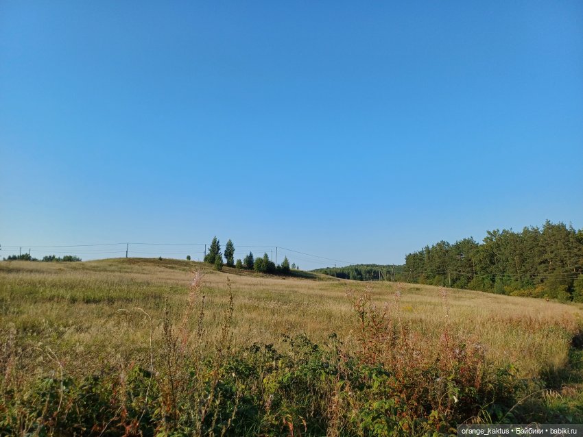 Уэнсдей — Аналоги Барби и куклы 1/6: клоны 90 (фото 8)