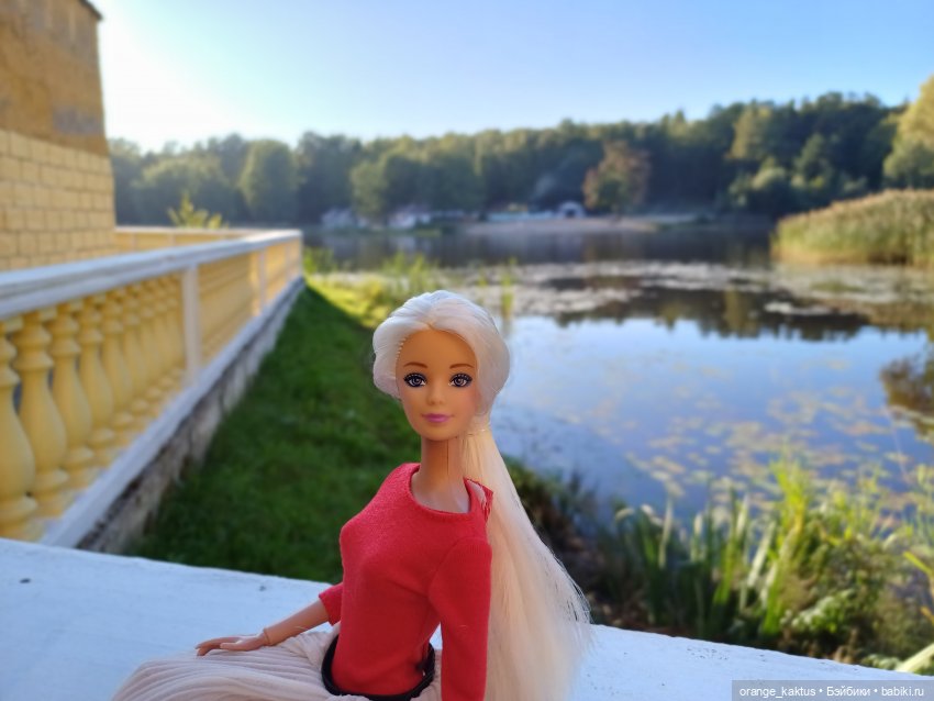 Клон маки Или приятный вечер пятницы (фото 6)