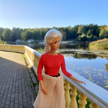 Клон маки Или приятный вечер пятницы