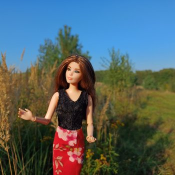 Новая жизнь Псевдокарлуши