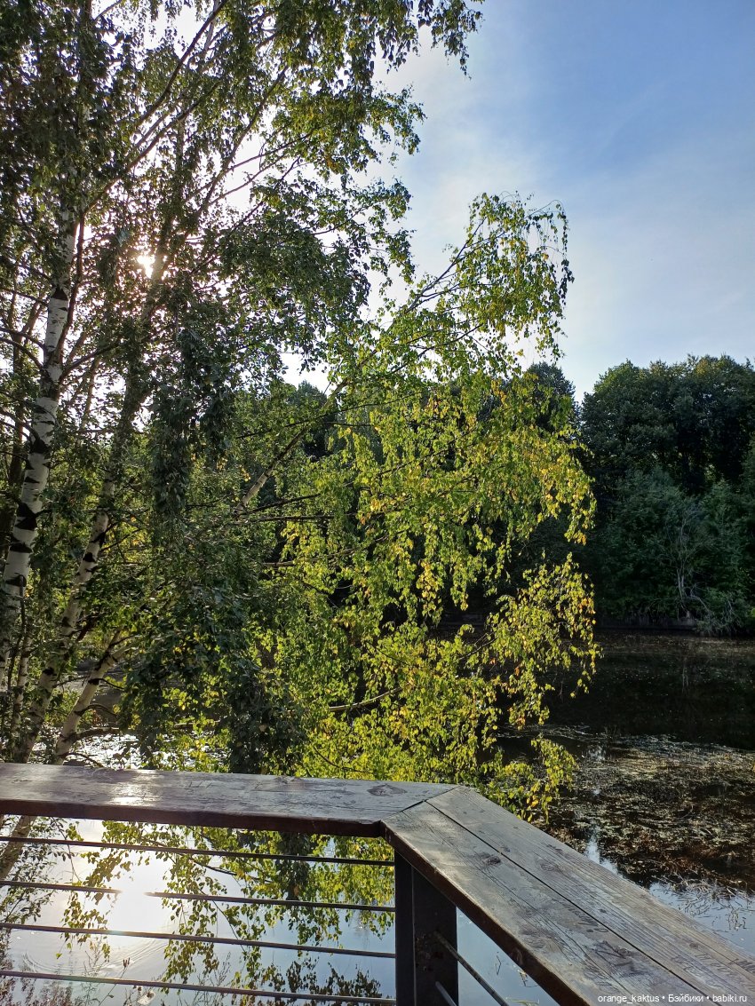 Дядя Коля — Аналоги Барби и куклы 1/6: клоны 90