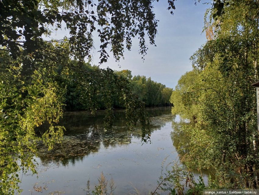 Дядя Коля — Аналоги Барби и куклы 1/6: клоны 90