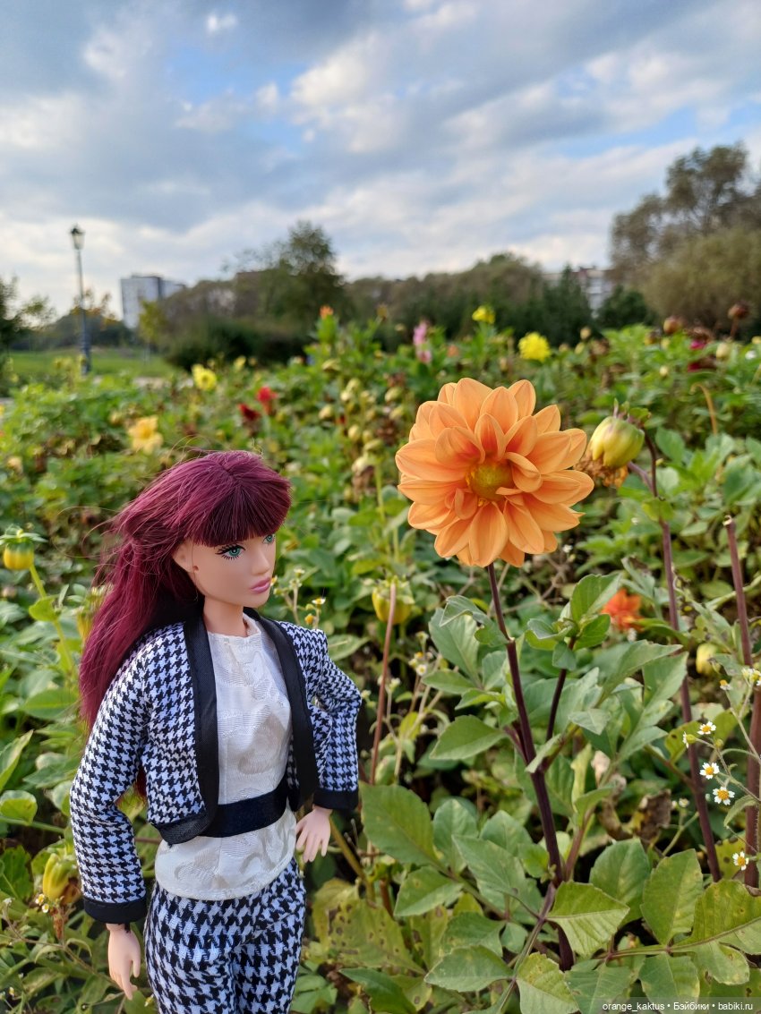 Дефа Люси и немного осени (фото 8)