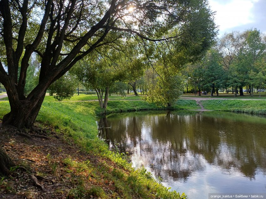 Дефа Люси и немного осени