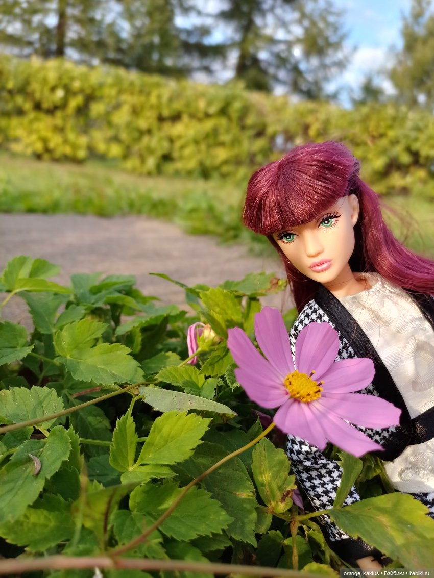 Дефа Люси и немного осени