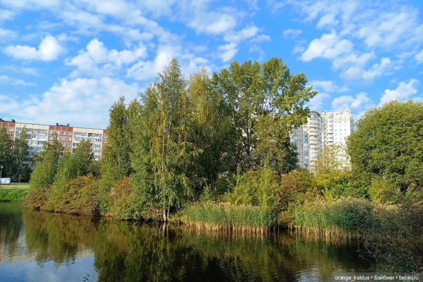 Дефа Люси и немного осени (фото 10)