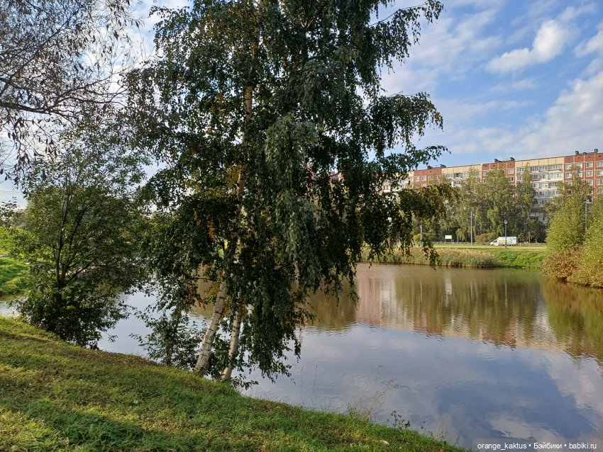 Дефа Люси и немного осени (фото 6)