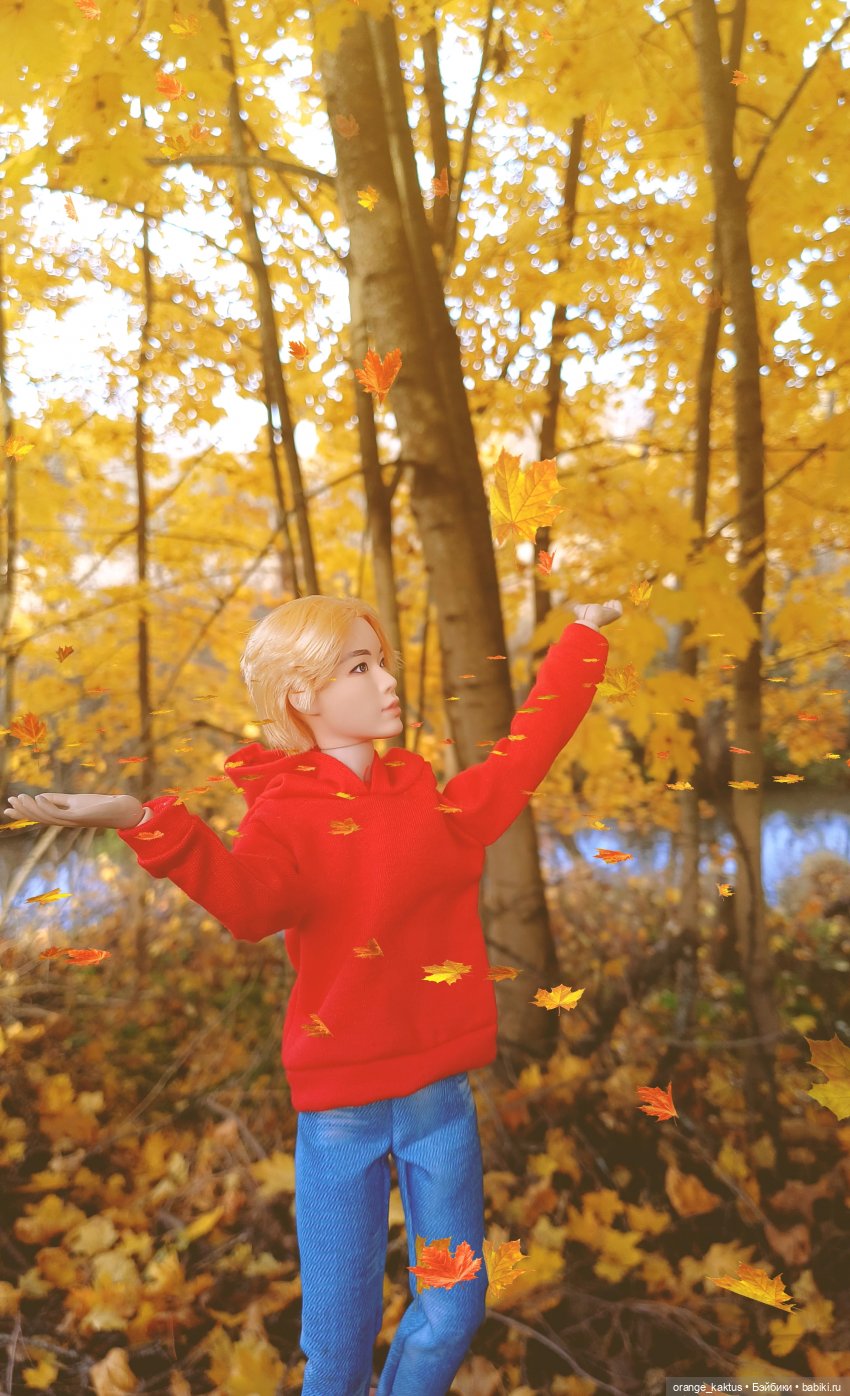 Дим Димыч, осенний променад