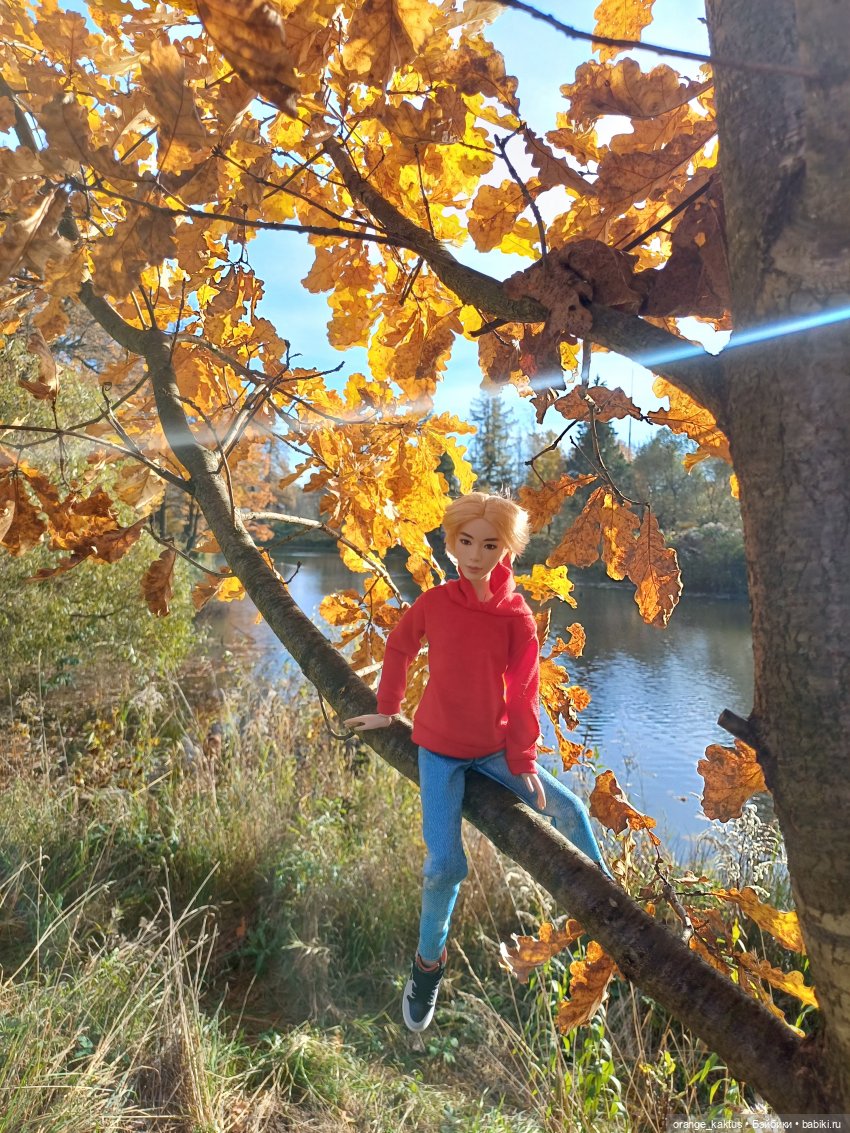 Дим Димыч, осенний променад