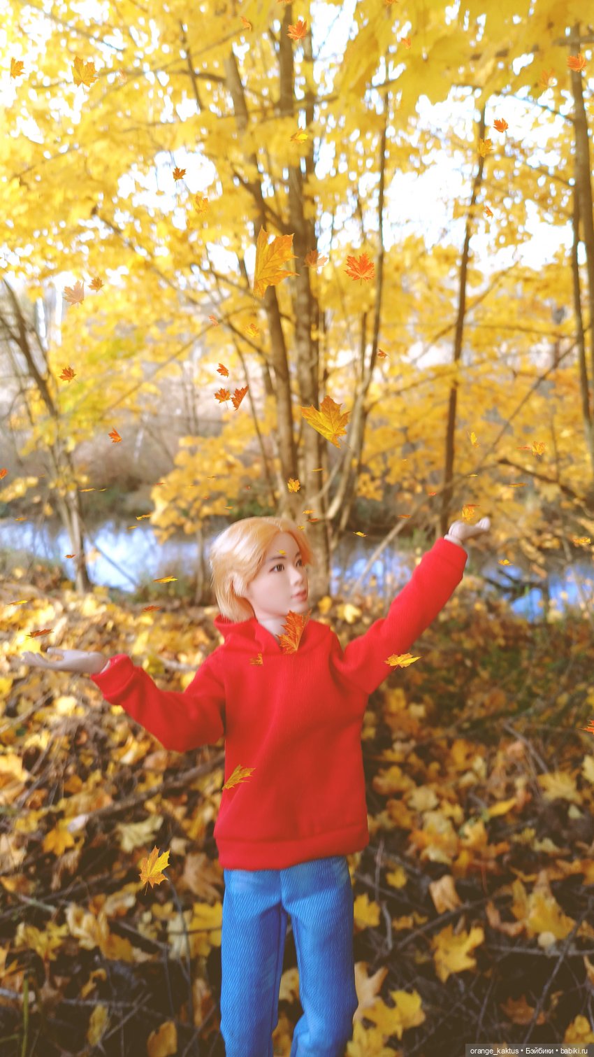 Дим Димыч, осенний променад