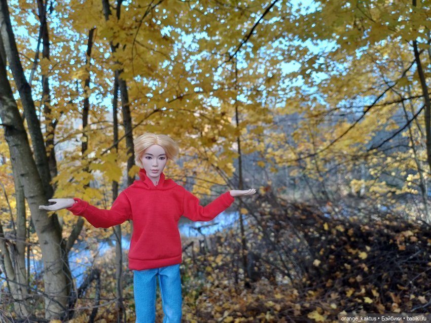 Дим Димыч, осенний променад