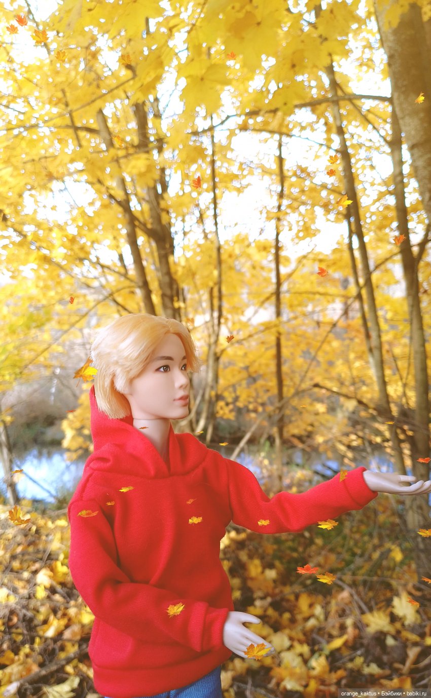 Дим Димыч, осенний променад