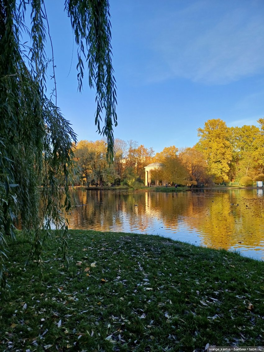 Осенняя прогулка Ксении — Аналоги Барби и куклы 1/6: клоны 90