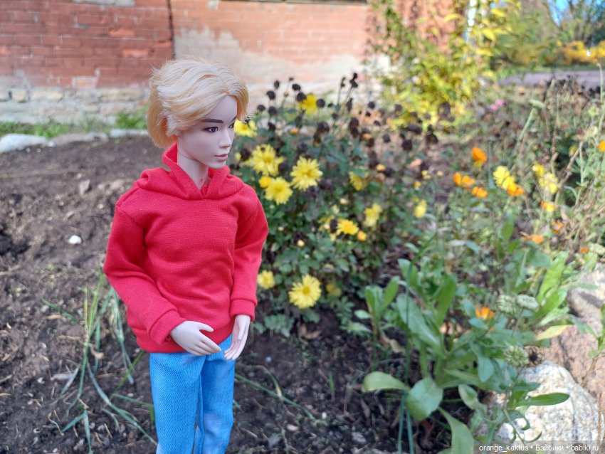 Дим Димыч, осенний променад