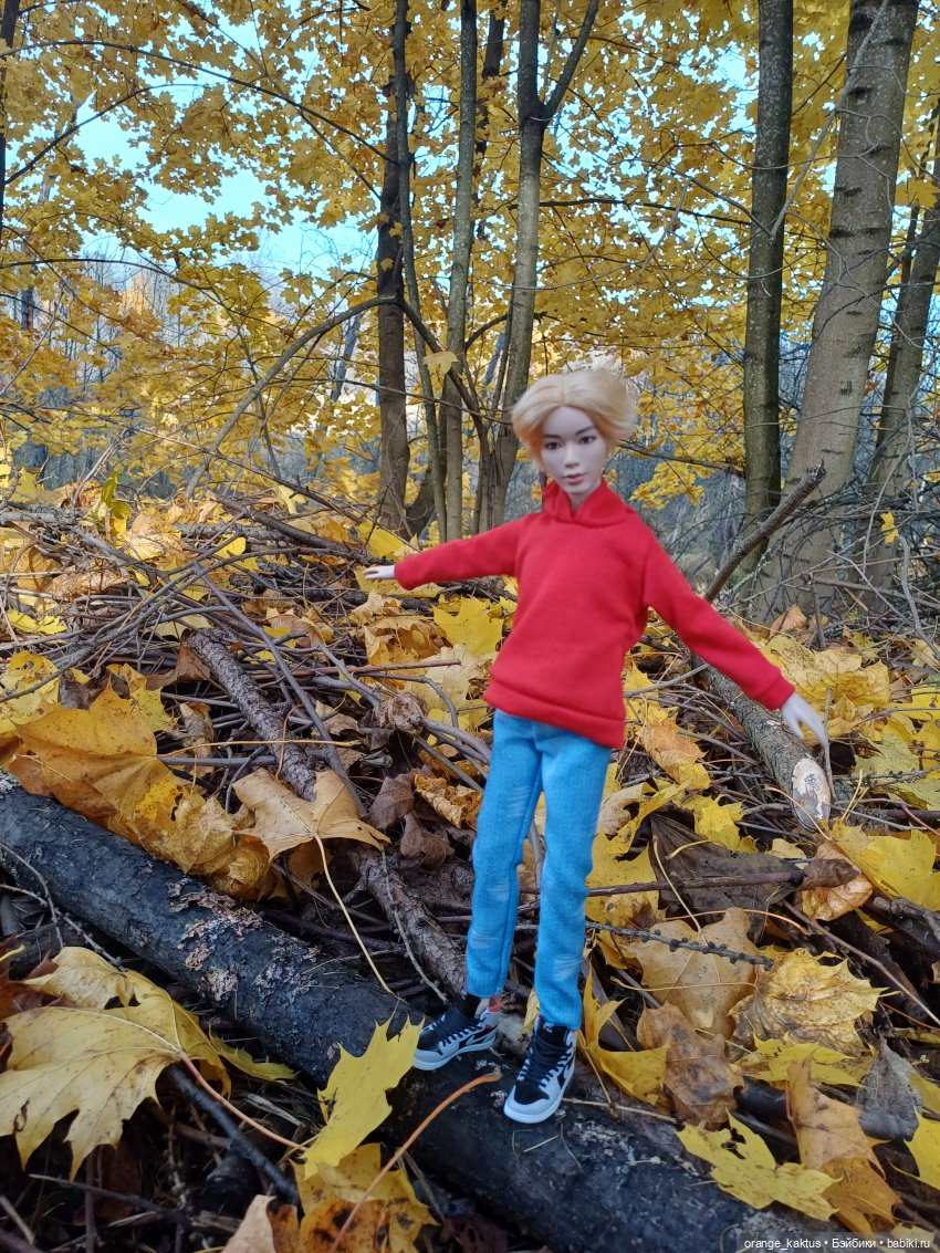 Дим Димыч, осенний променад