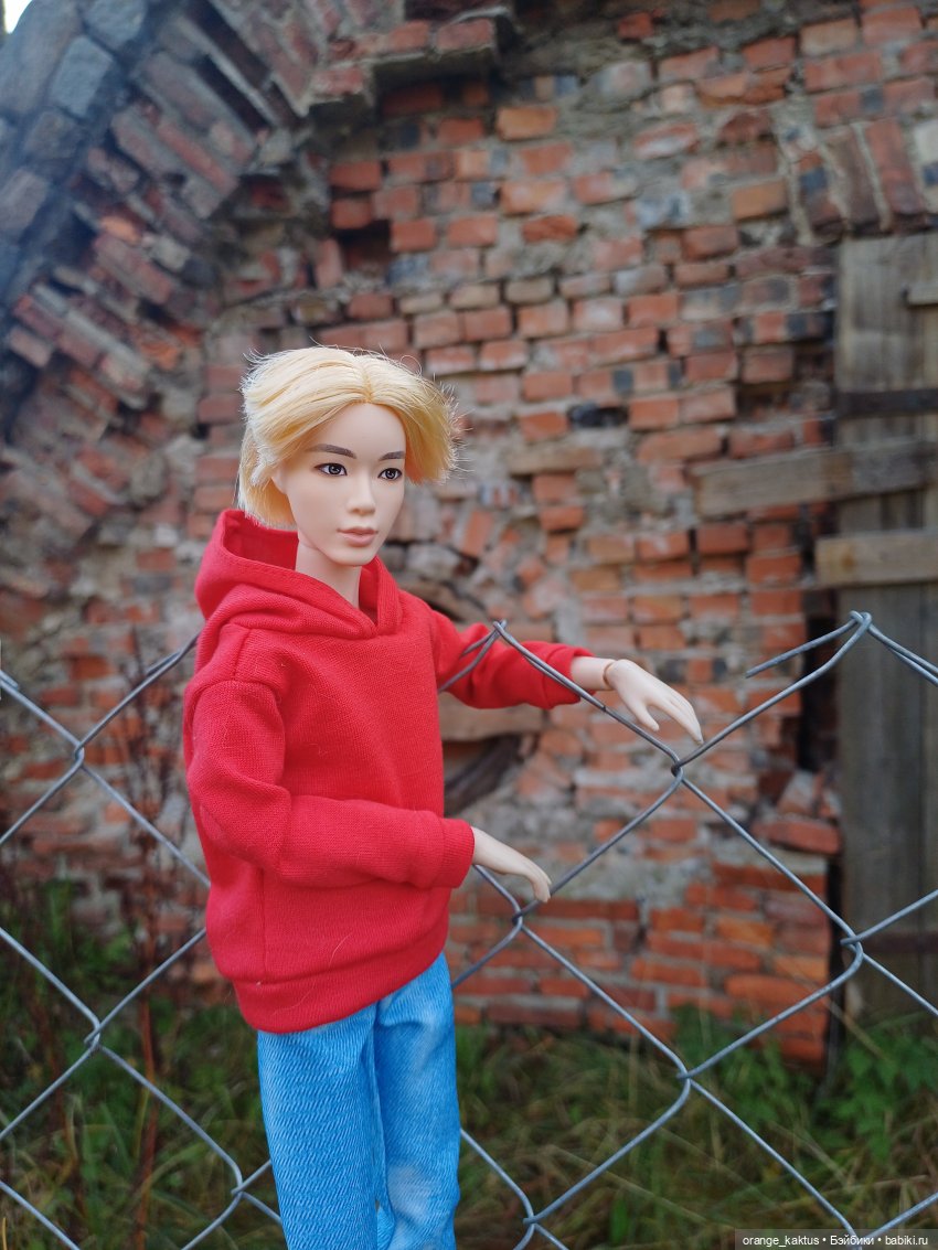 Дим Димыч, осенний променад (фото 4)