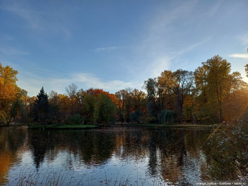 Осенняя прогулка Ксении — Аналоги Барби и куклы 1/6: клоны 90