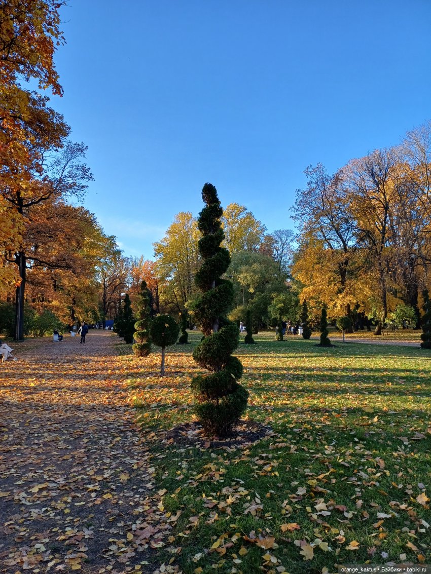 Осенняя прогулка Ксении — Аналоги Барби и куклы 1/6: клоны 90