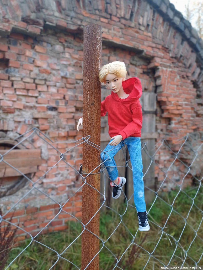 Дим Димыч, осенний променад (фото 5)