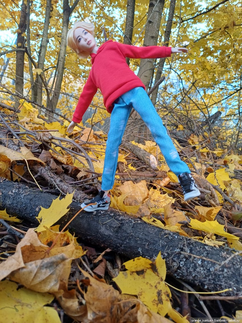 Дим Димыч, осенний променад