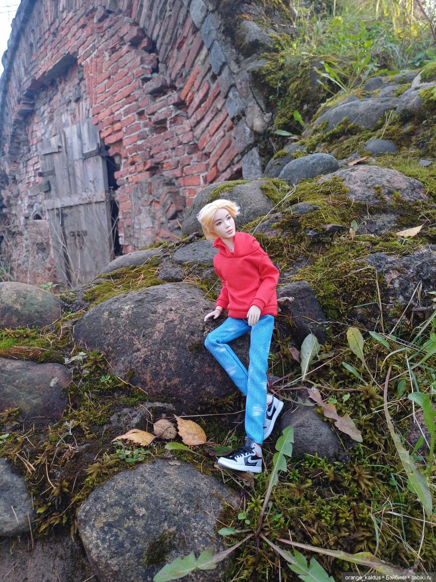 Дим Димыч, осенний променад (фото 8)