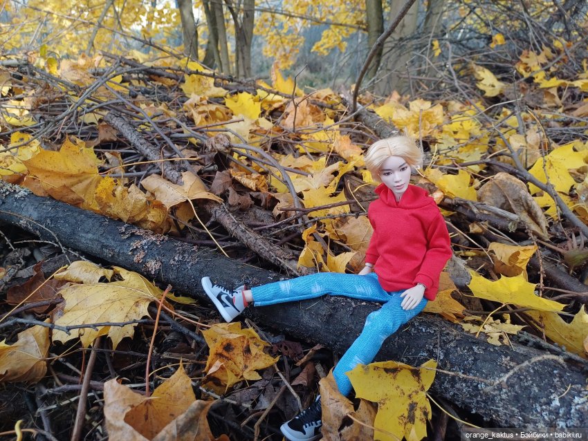 Дим Димыч, осенний променад (фото 10)